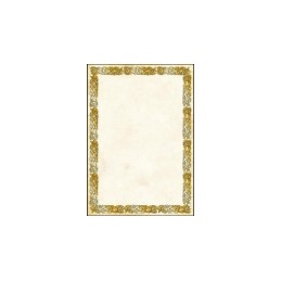 DYPLOM CELTIC 250GR.20ark