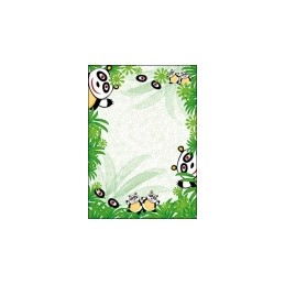 DYPLOM PANDA 170g 25ARK