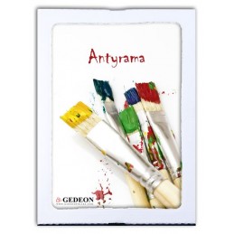 ANTYRAMA 24x30 PLX