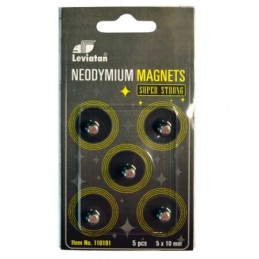 MAGNES NEODYMOWY 5 SZT 110191