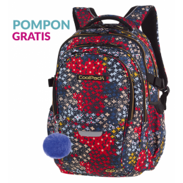 PLECAK COOLPACK FACTOR A035