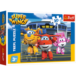 PUZZLE 30-EL WINGS...