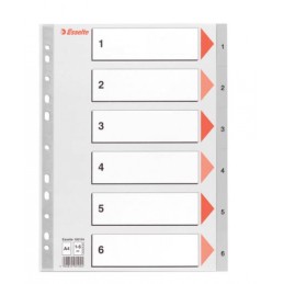 PRZEKŁADKI  ESSELTE PP...