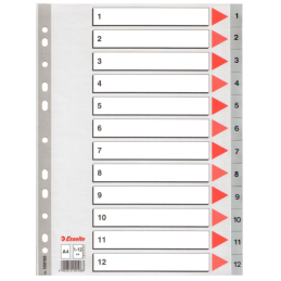PRZEKŁADKI ESSELTE  PP...